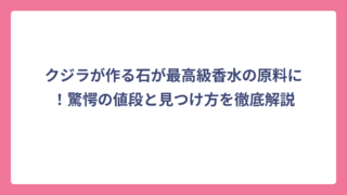 クジラが作る石が最高級香水の原料に！驚愕の値段と見つけ方を徹底解説