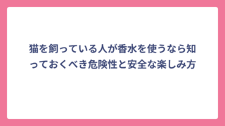 猫を飼っている人が香水を使うなら知っておくべき危険性と安全な楽しみ方