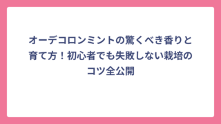 オーデコロンミントの驚くべき香りと育て方！初心者でも失敗しない栽培のコツ全公開