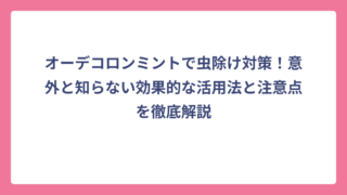 オーデコロンミントで虫除け対策！意外と知らない効果的な活用法と注意点を徹底解説
