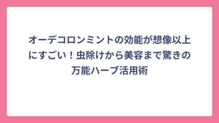オーデコロンミントの効能が想像以上にすごい！虫除けから美容まで驚きの万能ハーブ活用術