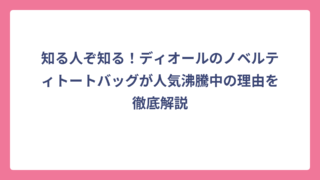 知る人ぞ知る！ディオールのノベルティトートバッグが人気沸騰中の理由を徹底解説