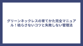 グリーンネックレスの育てかた完全マニュアル！枯らさないコツと失敗しない管理法