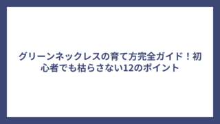 グリーンネックレスの育て方完全ガイド！初心者でも枯らさない12のポイント