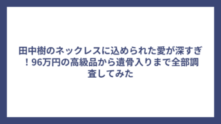 田中樹のネックレスに込められた愛が深すぎ！96万円の高級品から遺骨入りまで全部調査してみた